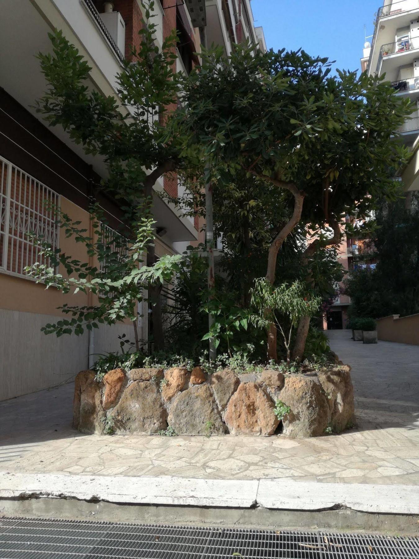 Testa Gioacchino B&B Rome Exterior photo